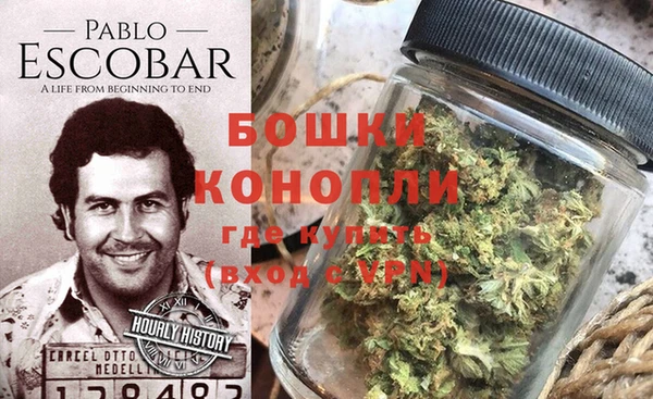 спайс Арсеньев